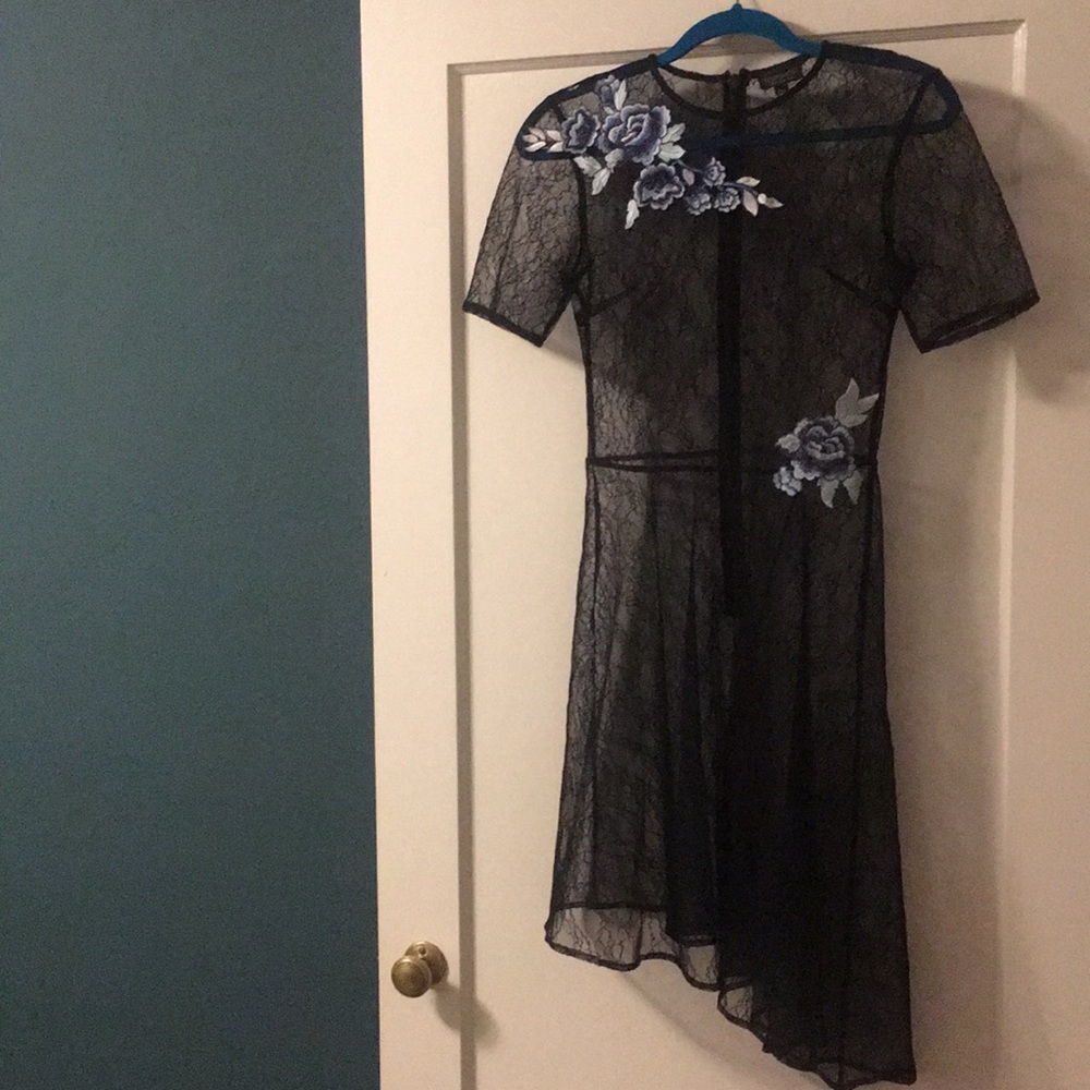 Topshop Embroidered Floral Lace Dress
